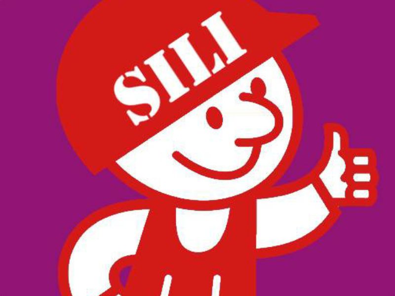 Silizium2017!6
