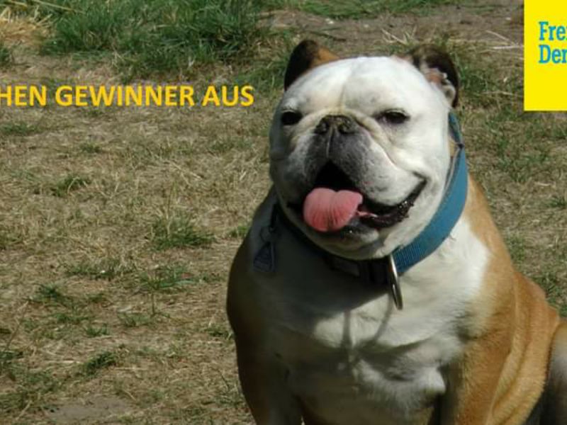 FreiLenkerBrunswiek
