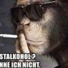 Pauli123