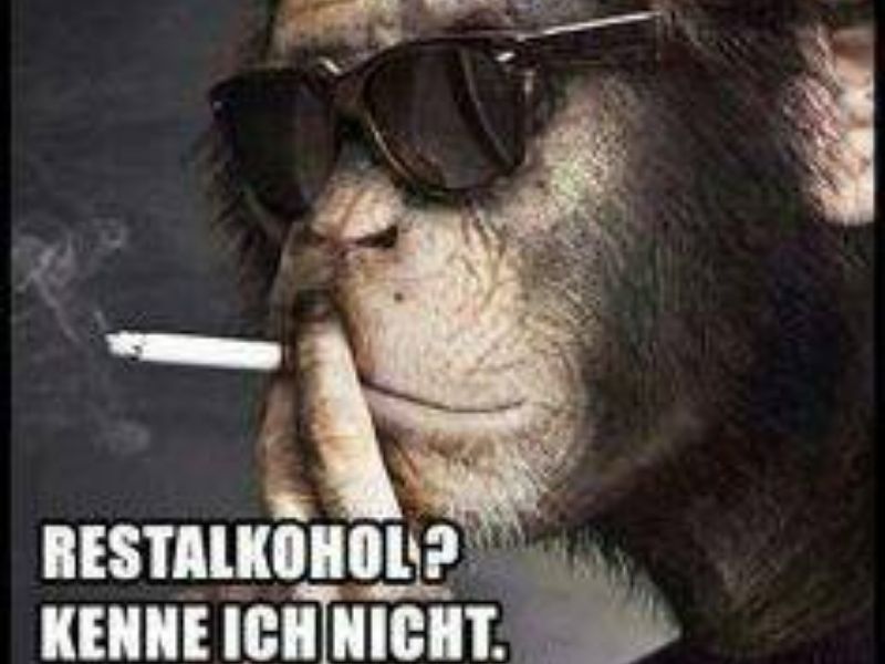 Pauli123