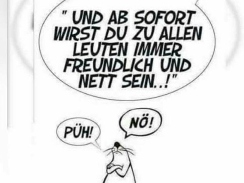 IckeundDonau7