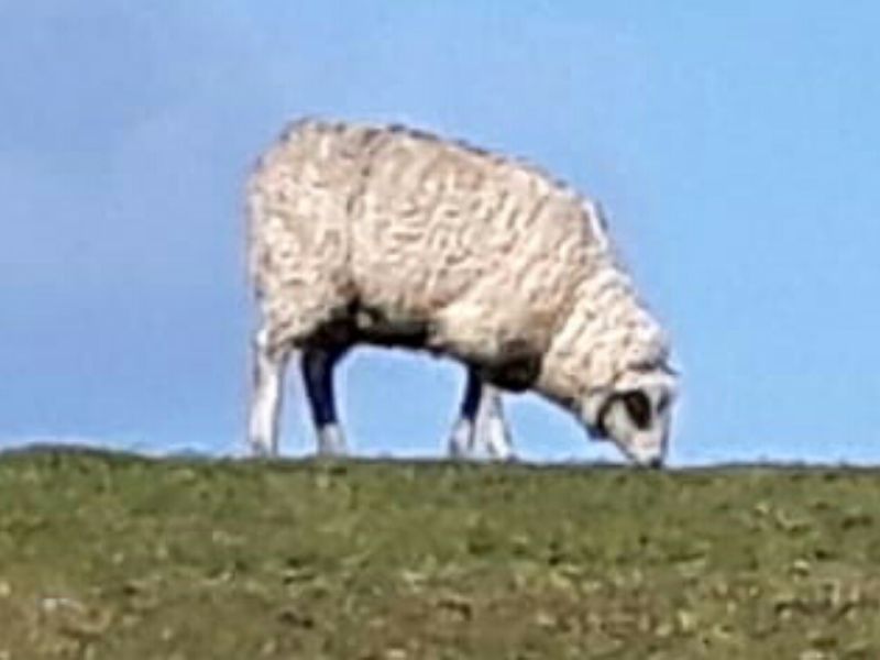 Aufstieg2019