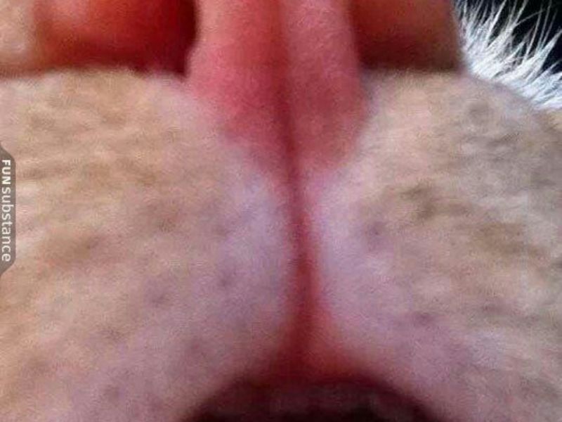 Norbert69