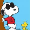 SnoopysnoopH80