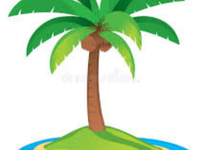 Palm