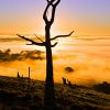 Luke99_TS_1a