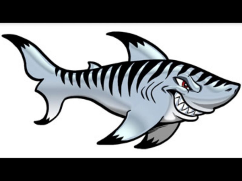 Tigerhai