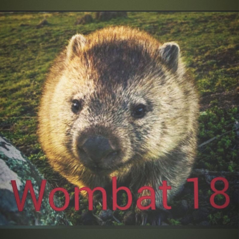 mombertmoppel