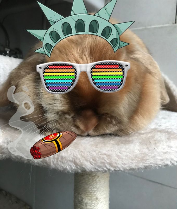 Tronald_Dump