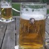 Merzwähler