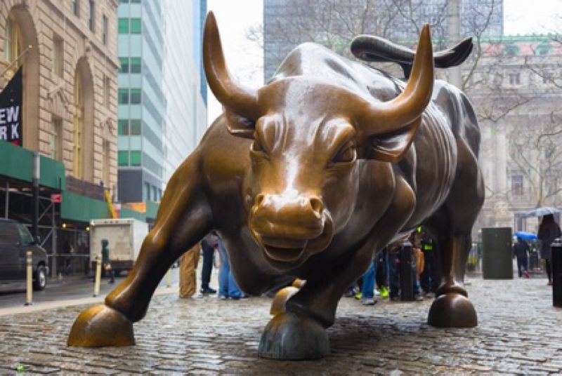 Investor500