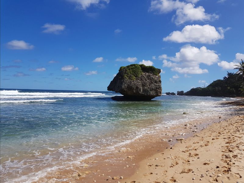 Elcaracho