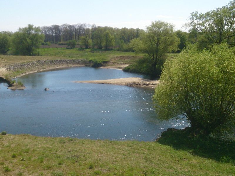 Biofan