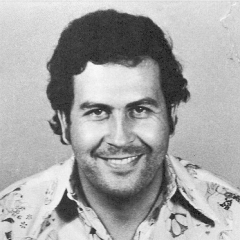 og_pipo