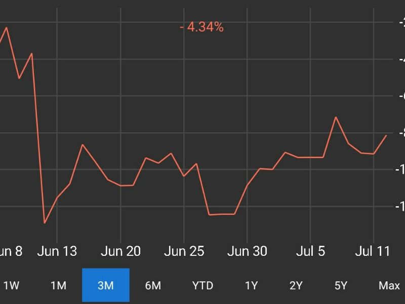 TheInvestor
