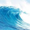 seas1