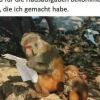 Alerharmser