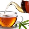 Mr.Tea