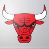 bull77