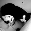 Cleo.Pepper