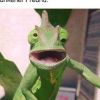 Damo