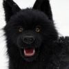 wolfdog