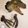 Donnie_Raptor