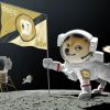 Netcoin