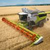 BigFarmer