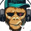 Monkey79