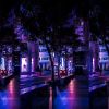 Blacklight