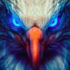 Hawktio_12