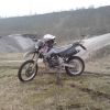 Alf78