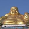 BörsenBuddha