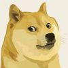 Dogecoin