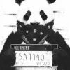 PandaPower