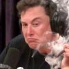 ElonMusk420