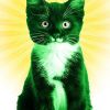 Catdevil