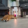 Berti80