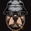 Adonisgangster