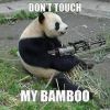 Panda50