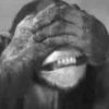 Misimrsa