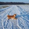 Berti80