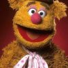 FozzieBaer