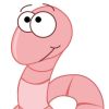 Wurmloch
