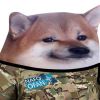 NAFO