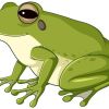 Frosch22