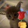 simonwink76
