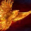 Phoenix_Berlin