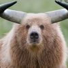 Stierbär